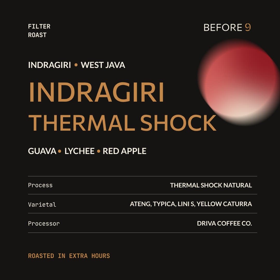 Indragiri Thermal Shock
